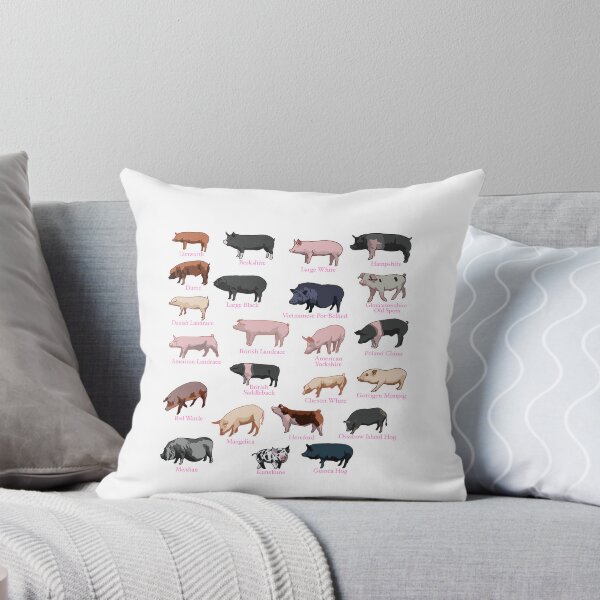 Item preview, Pig Breeds designed and sold by HollieCollie23.