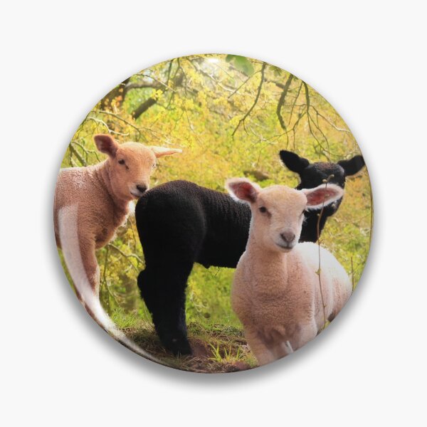 Item preview, Country creche designed and sold by missmoneypenny.