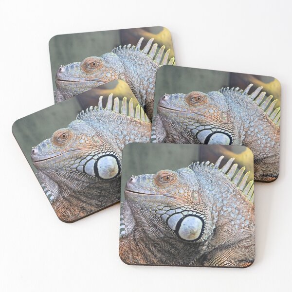 Item preview, Green iguana designed and sold by missmoneypenny.