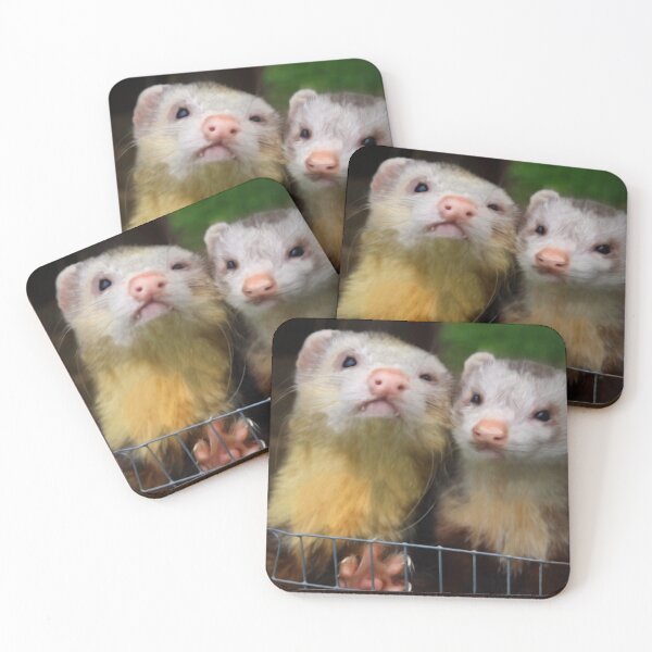 Item preview, Maurice and Moe designed and sold by missmoneypenny.