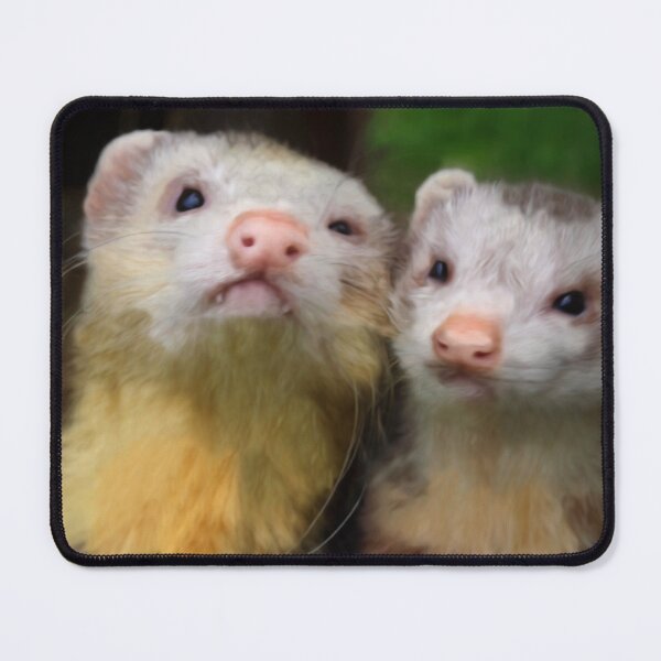 Item preview, Maurice and Moe designed and sold by missmoneypenny.