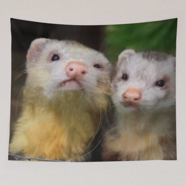 Item preview, Maurice and Moe designed and sold by missmoneypenny.