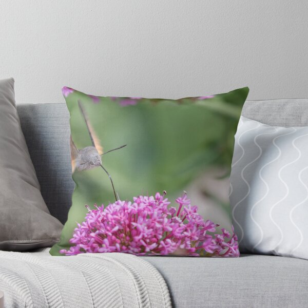 Item preview, Hummingbird Hawk Moth designed and sold by LaurenTucker.