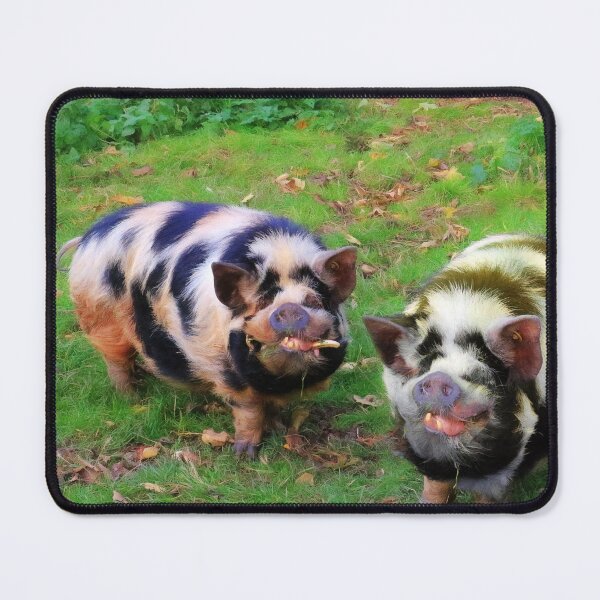 Item preview, Porky and Bessie designed and sold by missmoneypenny.