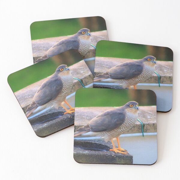Item preview, Sparrowhawk - male designed and sold by missmoneypenny.