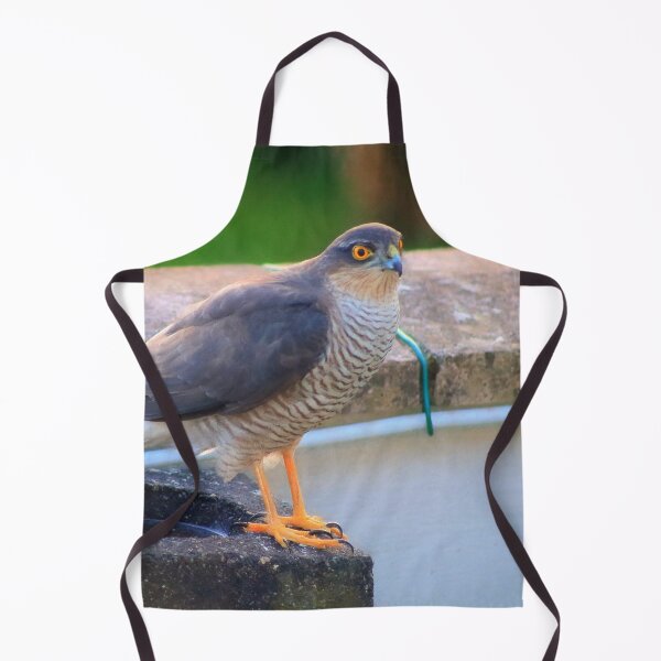 Item preview, Sparrowhawk - male designed and sold by missmoneypenny.