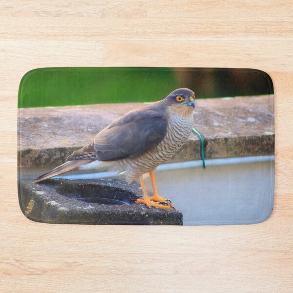 Item preview, Sparrowhawk - male designed and sold by missmoneypenny.