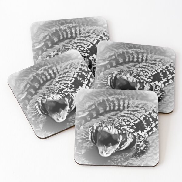 Item preview, Tegu in mono designed and sold by missmoneypenny.
