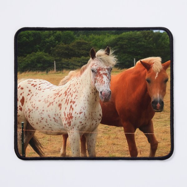 Item preview, Beauty on parade designed and sold by missmoneypenny.