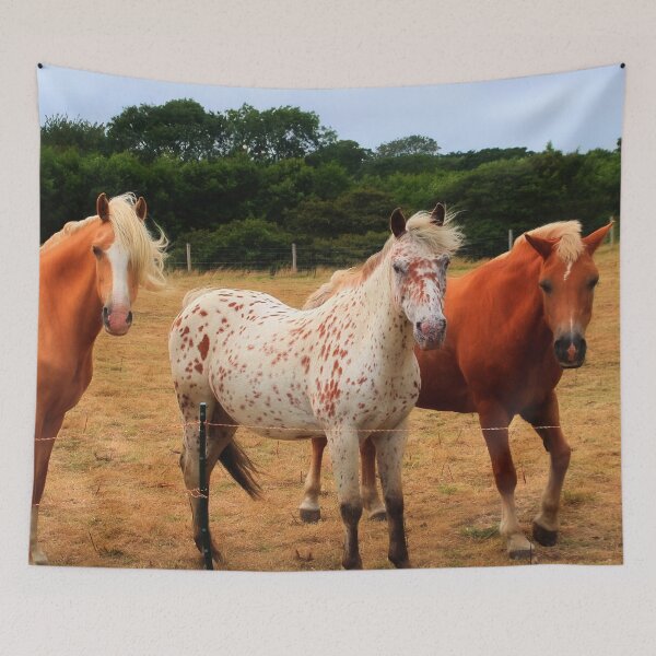 Item preview, Beauty on parade designed and sold by missmoneypenny.