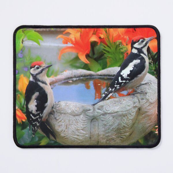 Item preview, Juvenile woodpeckers designed and sold by missmoneypenny.