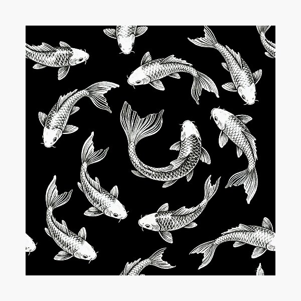 Artikelvorschau, Schwarz-weißes handgezeichnetes Koi-Fisch-Diagramm entworfen und verkauft von LuckCraftStudio.