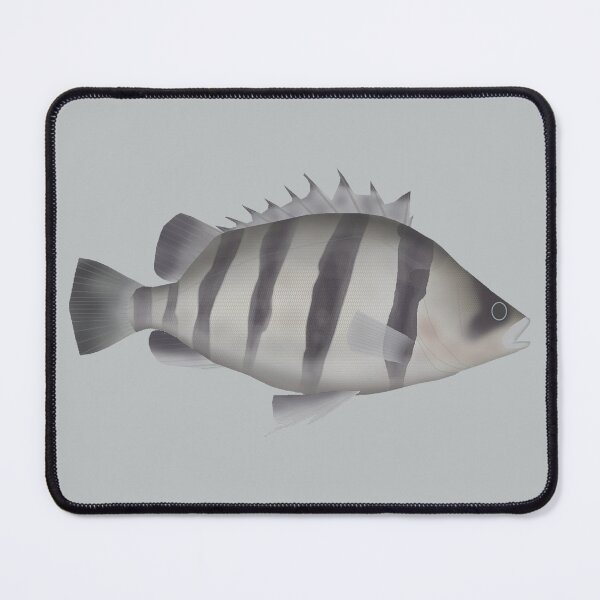 Item preview, Four-barred Tigerfish designed and sold by fishfolkart.