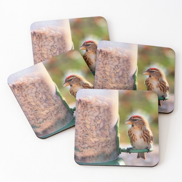 Item preview, Siskin and redpoll designed and sold by missmoneypenny.