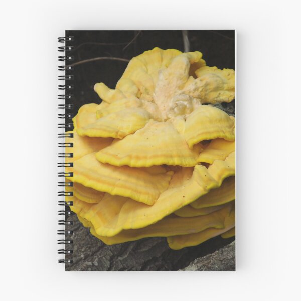 Item preview, Chicken Of The Woods designed and sold by wiggyofipswich.