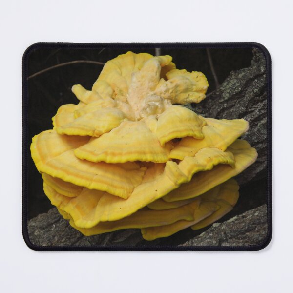 Item preview, Chicken Of The Woods designed and sold by wiggyofipswich.