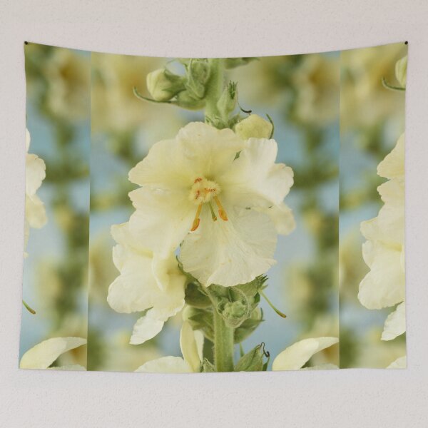 Item preview,  Verbascum x hybridum 'Snow Maiden' Mullein designed and sold by Chris Burrows.