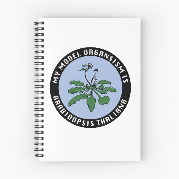 Item preview, My model organism is Arabidopsis thaliana - blue designed and sold by Starving Scientist.