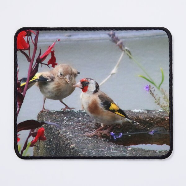 Item preview, You can't need feeding again designed and sold by missmoneypenny.