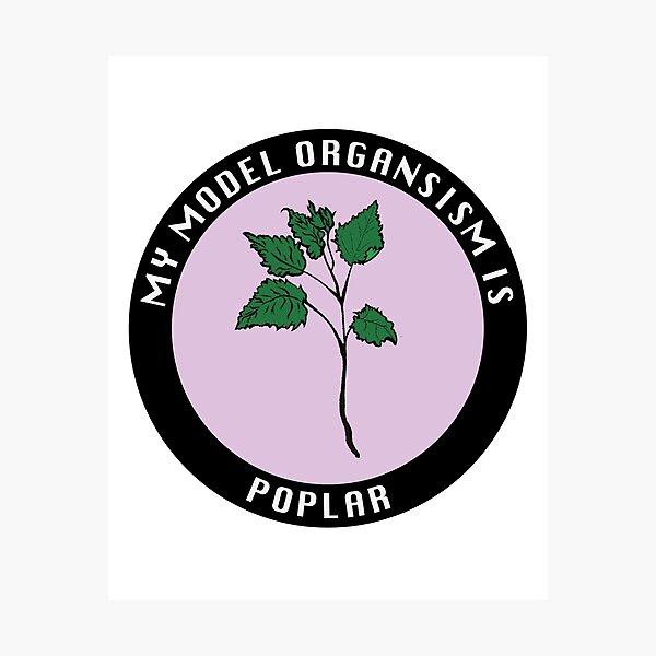 Item preview, My model organism is Poplar - lilac designed and sold by Starving Scientist.