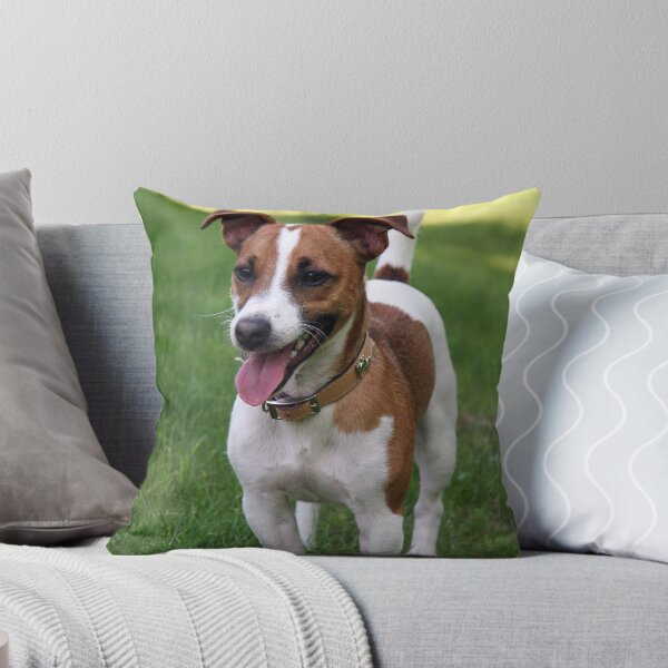 Item preview, Jack Russell designed and sold by Prot.