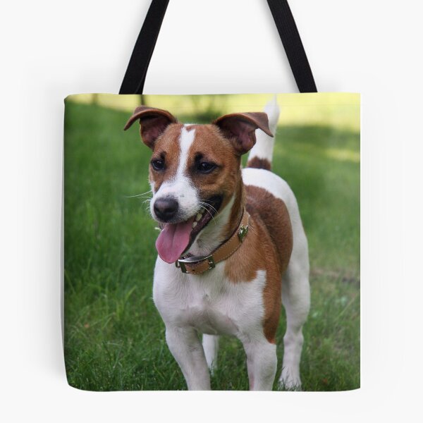 Aperçu de l'œuvre Jack Russell créée et vendue par Prot.