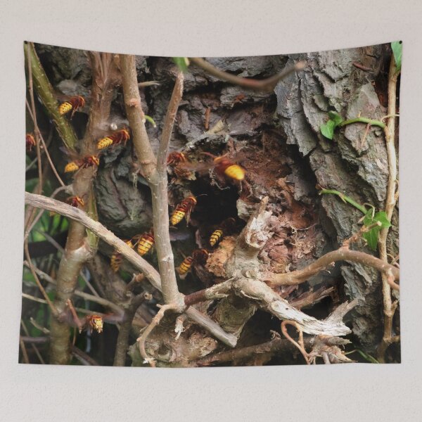 Item preview, The hornet nest designed and sold by missmoneypenny.