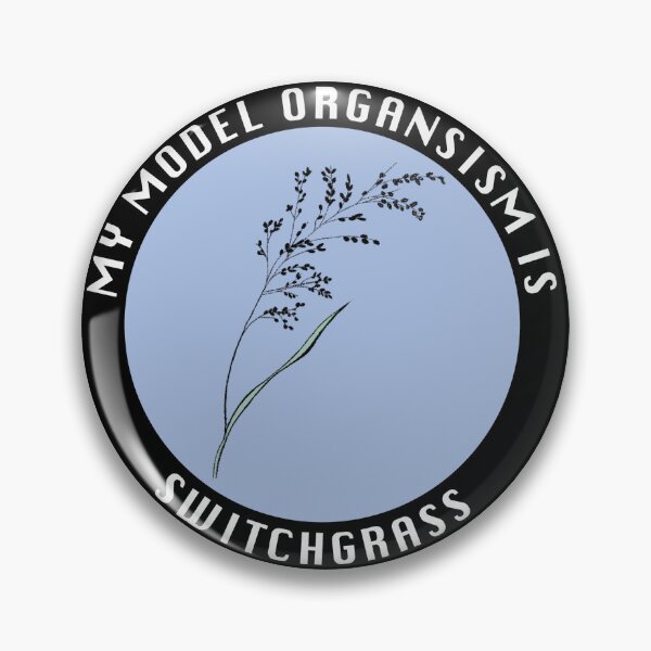 Item preview, My model organism is switchgrass - blue designed and sold by Starving Scientist.