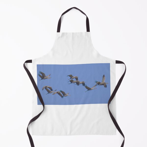 Item preview, Twelve Sandhill Cranes Flying By designed and sold by Wonders Of Paradise.