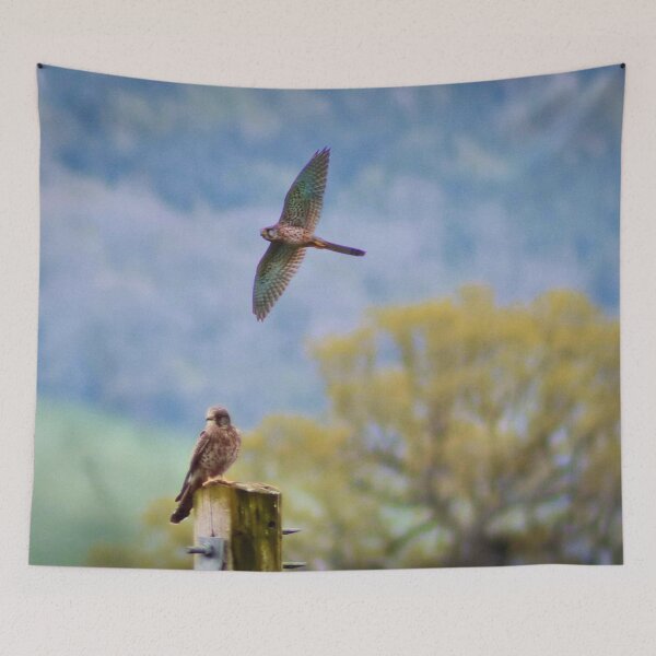 Item preview, Kestrel pair designed and sold by missmoneypenny.