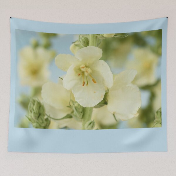 Item preview,  Verbascum x hybridum 'Snow Maiden' Mullein designed and sold by Chris Burrows.