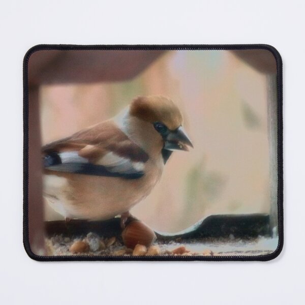 Item preview, Hawfinch designed and sold by missmoneypenny.