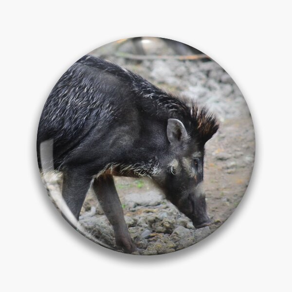 Item preview, Javan warty pig designed and sold by missmoneypenny.