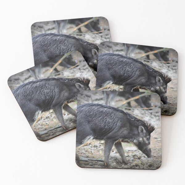 Item preview, Javan warty pig designed and sold by missmoneypenny.