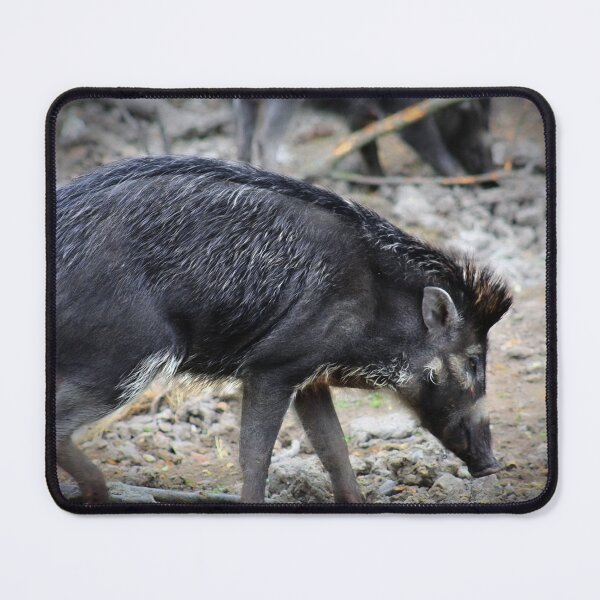 Item preview, Javan warty pig designed and sold by missmoneypenny.