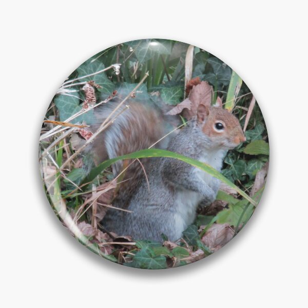 Item preview, Woodland wanderer designed and sold by missmoneypenny.