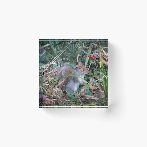 Item preview, Woodland wanderer designed and sold by missmoneypenny.