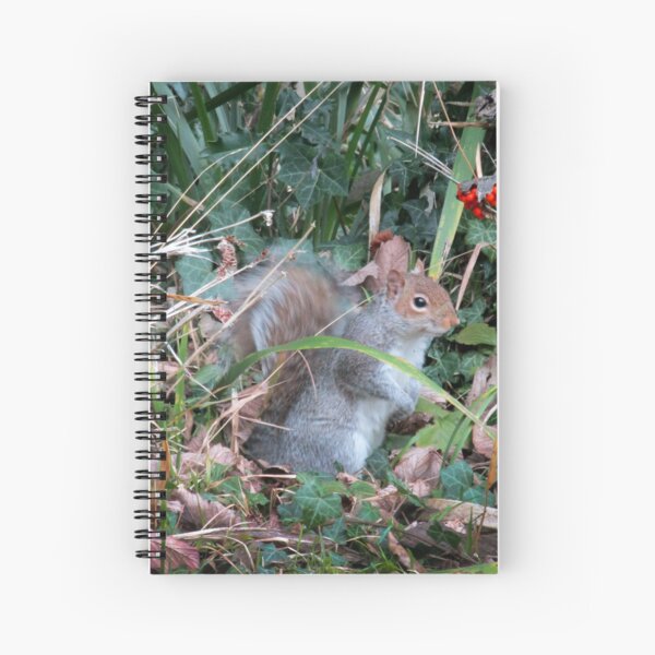 Item preview, Woodland wanderer designed and sold by missmoneypenny.