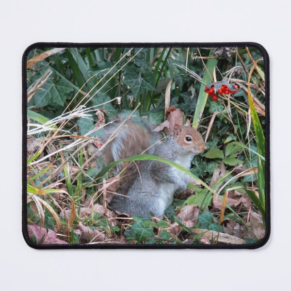 Item preview, Woodland wanderer designed and sold by missmoneypenny.