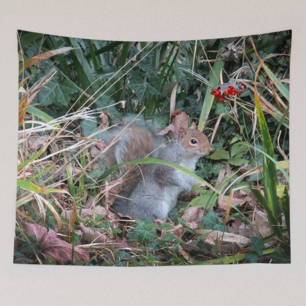 Item preview, Woodland wanderer designed and sold by missmoneypenny.