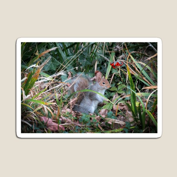 Item preview, Woodland wanderer designed and sold by missmoneypenny.