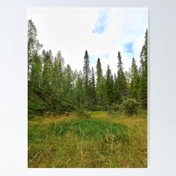 Item preview, Suppa. Kuusamo, Ristikallio designed and sold by Jouko Lehto Photography.