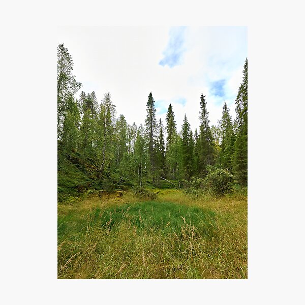 Item preview, Suppa. Kuusamo, Ristikallio designed and sold by Jouko Lehto Photography.