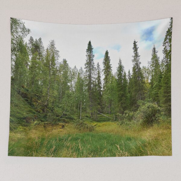Item preview, Suppa. Kuusamo, Ristikallio designed and sold by Jouko Lehto Photography.