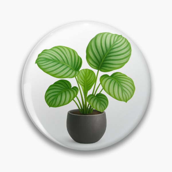 Item preview, Calathea orbifolia – Striped Tropical Beauty Botanical Art designed and sold by Feral Confetti.