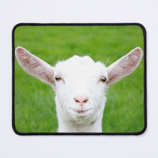 Item preview, The seasoned poser designed and sold by missmoneypenny.