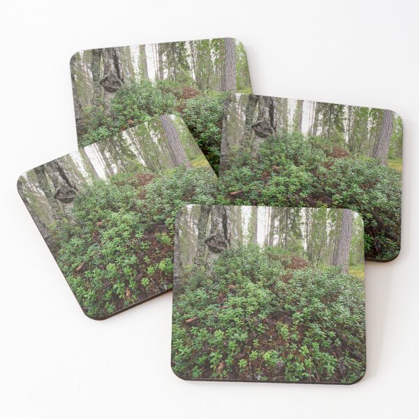 Item preview, Lingonberries  and ants. Kuusamo, Ristikallio designed and sold by Jouko Lehto Photography.