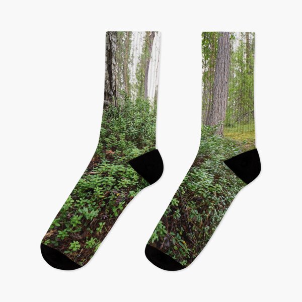 Item preview, Lingonberries  and ants. Kuusamo, Ristikallio designed and sold by Jouko Lehto Photography.