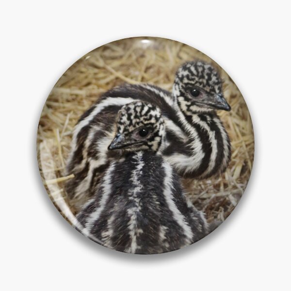Item preview, Emu chicks designed and sold by missmoneypenny.