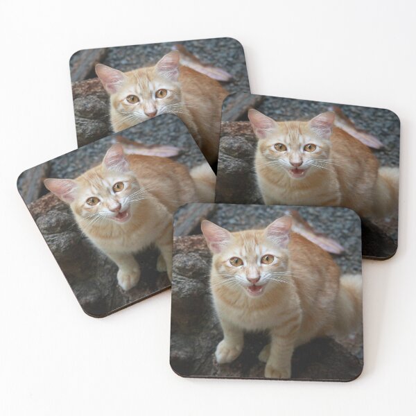 Item preview, Marmalade meow designed and sold by missmoneypenny.